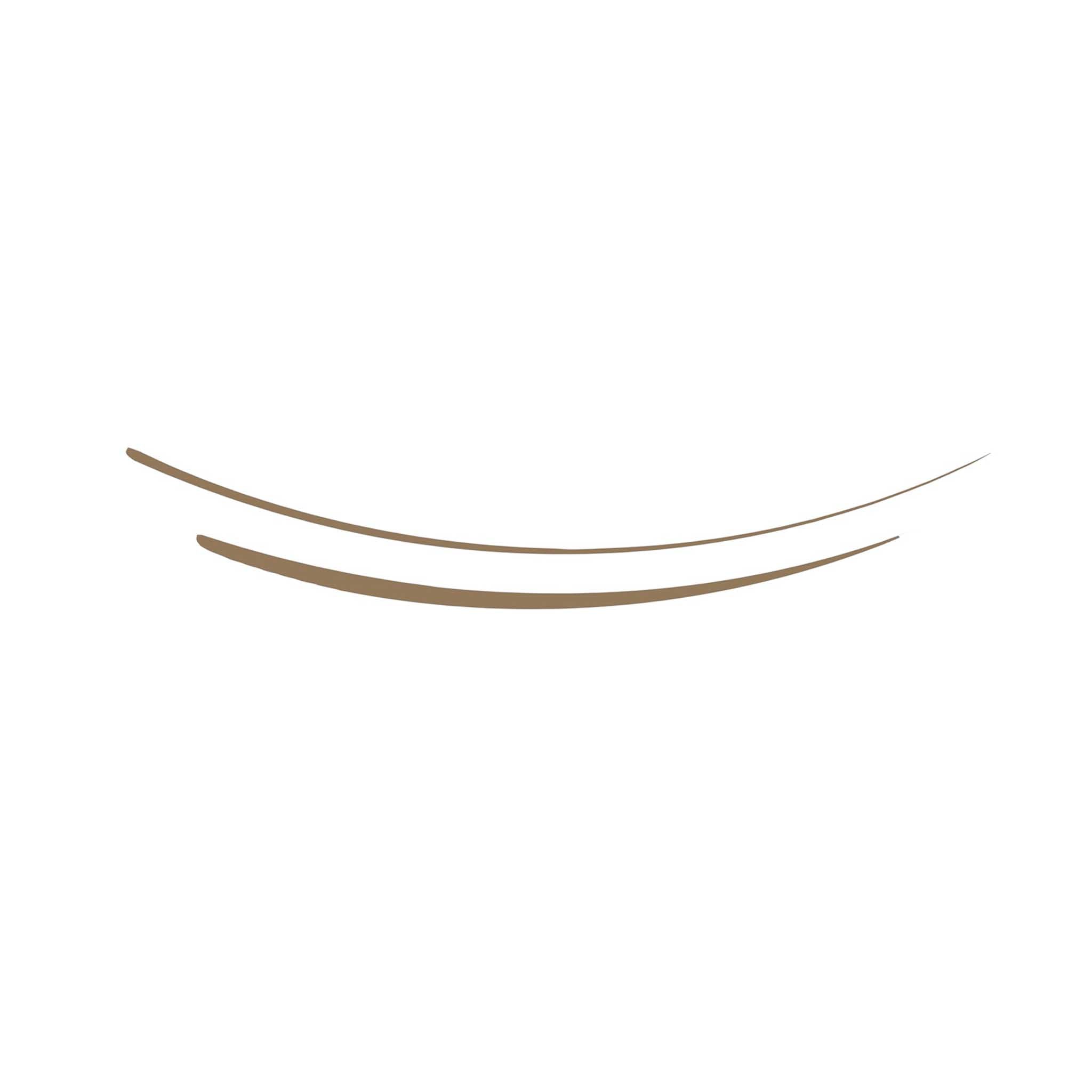 Brow Ink Micro Brush Detailer Pen L.A. Girl | Wholesale Makeup