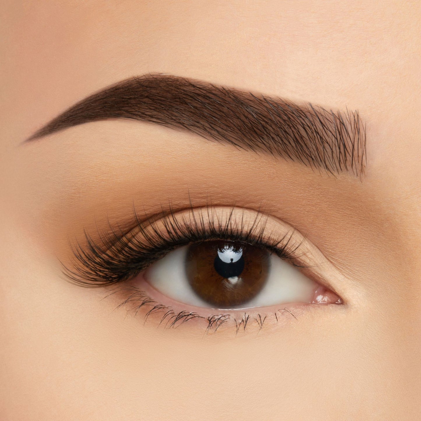 3D Soft Silk Lashes Paris - Beauty Creations | Wholesale Makeup