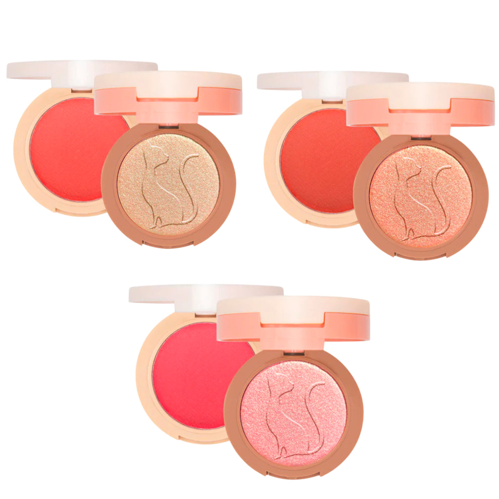 2 In 1 Pice Of Cake Blush Highlighter J.Cat Beauty | Wholesale Makeup