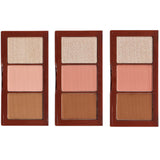 Captivated Travel Palette - Amuse | Wholesale Makeup