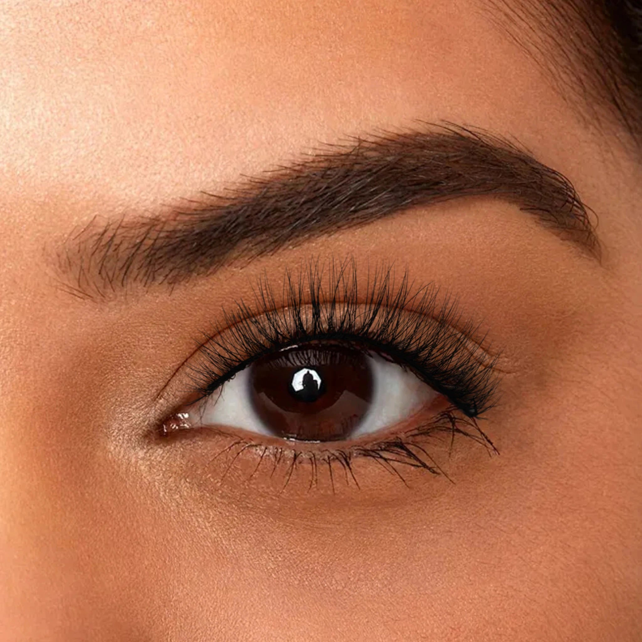 Lashes Stylish 01 - Coquette | Wholesale Makeup