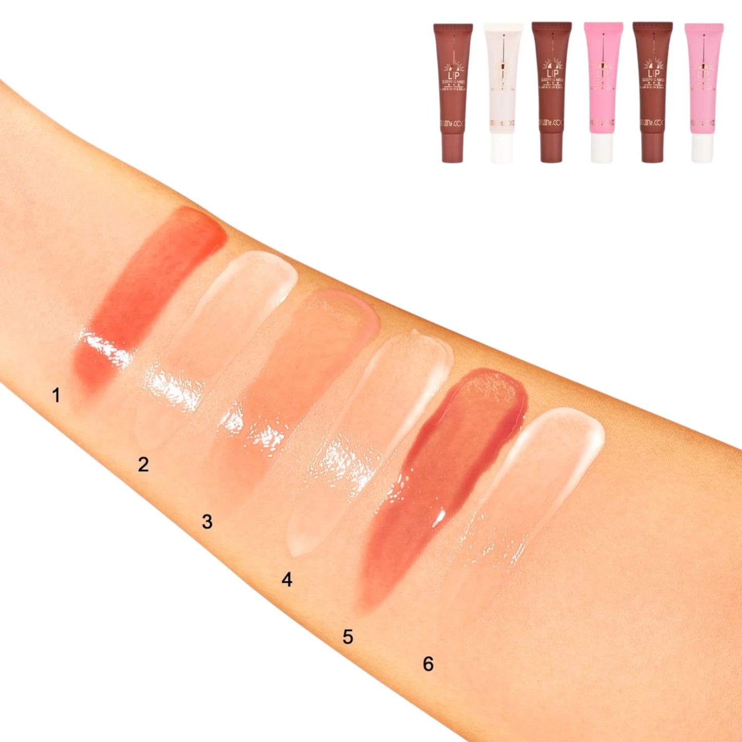 Day-To-Night Lip Set - Kevin & Coco | Wholesale Makeup