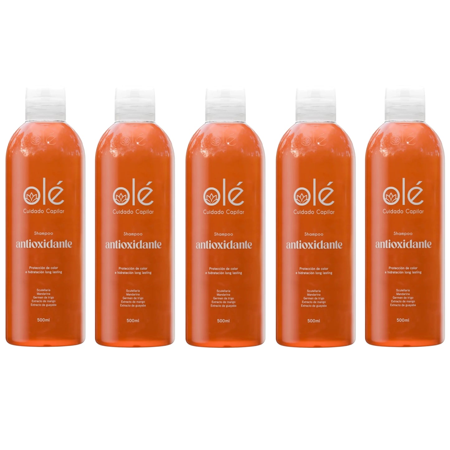 Shampoo Antioxidant Fruit Mix Ole Capilar | Wholesale Makeup