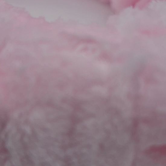 Premium Quality Beauty And Hair Pink Simply Bella | Wholesale Makeup