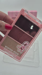 Blush & Highlight Trio & Lip Oil Beauty Creations | Wholesale Makeup