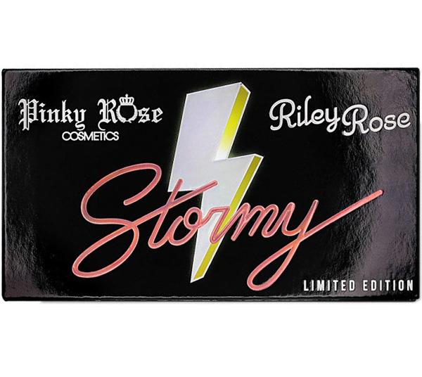 Stormy Eye Shadow Palette - Pinky Rose Cosmetics | Wholesale Makeup