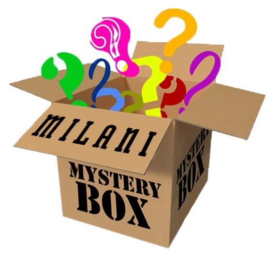 Milani Mystery Cosmetics Box 50PCS | Wholesale Makeup